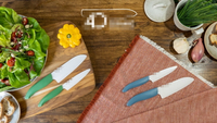 //rnrorwxhiqijjo5q.ldycdn.com/cloud/lrbpnkrpjmsrilqjqnmrjp/what-s-the-fference-between-western-and-japanese-chef-knives_2.jpg
