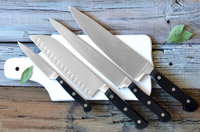 //jqrorwxhiqijjo5q.ldycdn.com/cloud/ljbpnkrpjmsrpkjljkkjq/stainless-knife2.png
